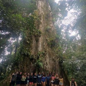 Photo of a group of UConn students standing in front of a massive tree in Costa Rica,