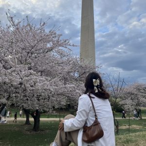 Photo of UConn student studying abroad in Washington D..C. She is sitting in front of the Washington monument and there are flower trees in front of her.