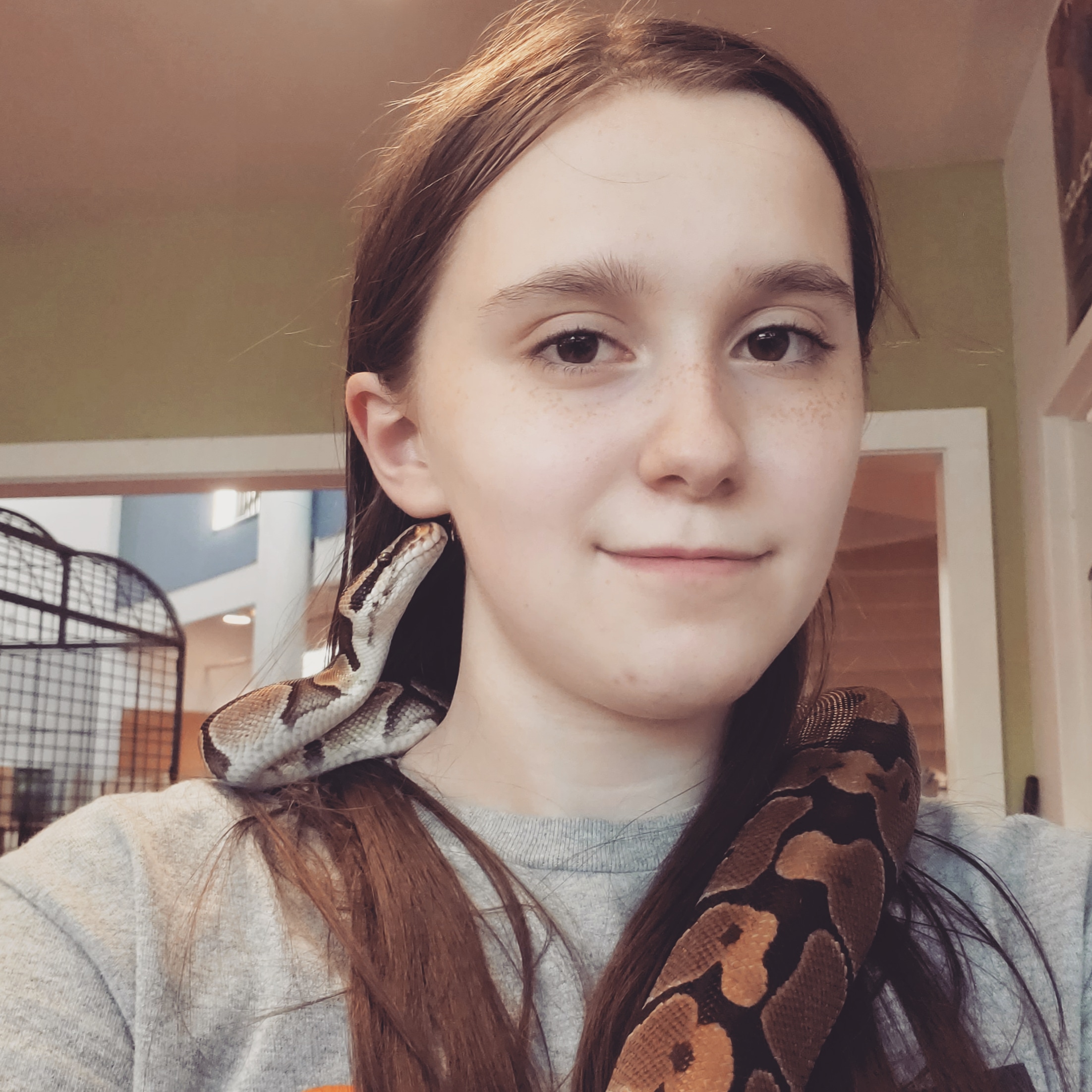 Photo of UConn student. She has long brown hair, is wearing a grey t shirt, and is posed with a snake on her shoulder.