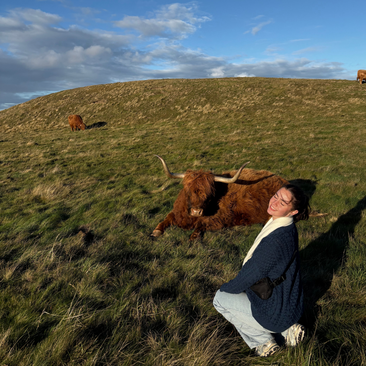 Photo of a young woman with black hair wearing a blue sweater and light blue jeans on a green hill crouching next to a goat.